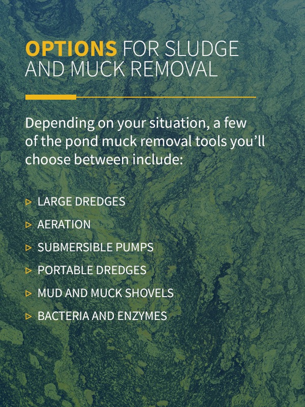 options for sludge & muck removal infographic