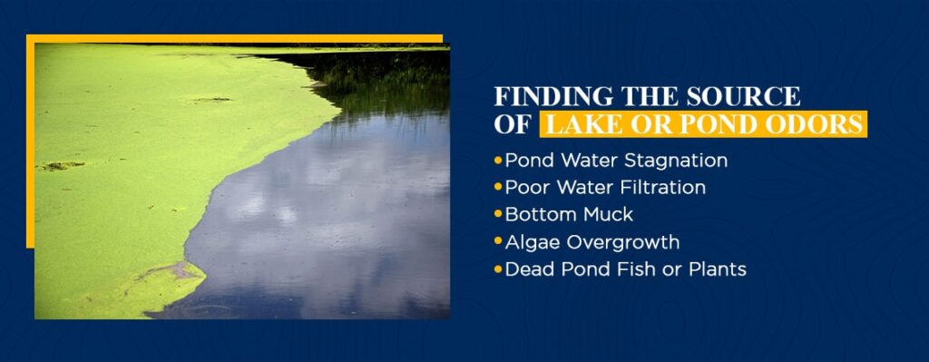 Finding the Source of Lake or Pond Odors