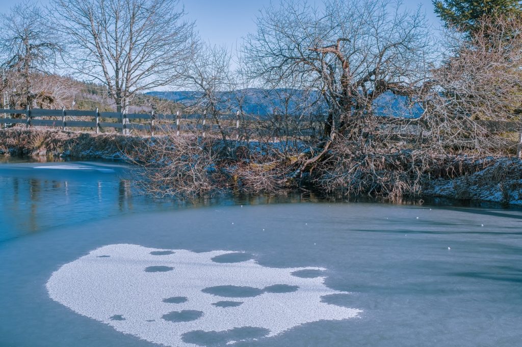 iced over pond