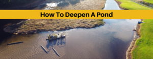 how to deepen a pond banner