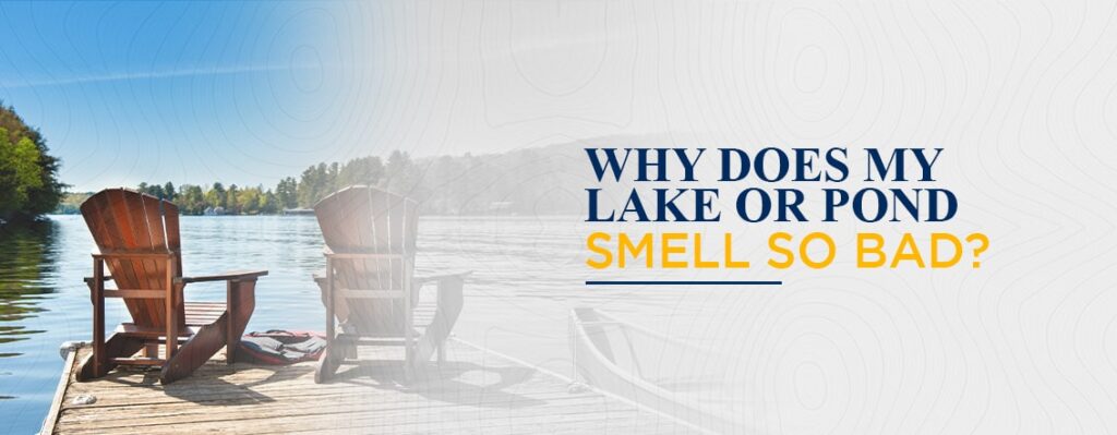 Why Does My Lake or Pond Smell So Bad?